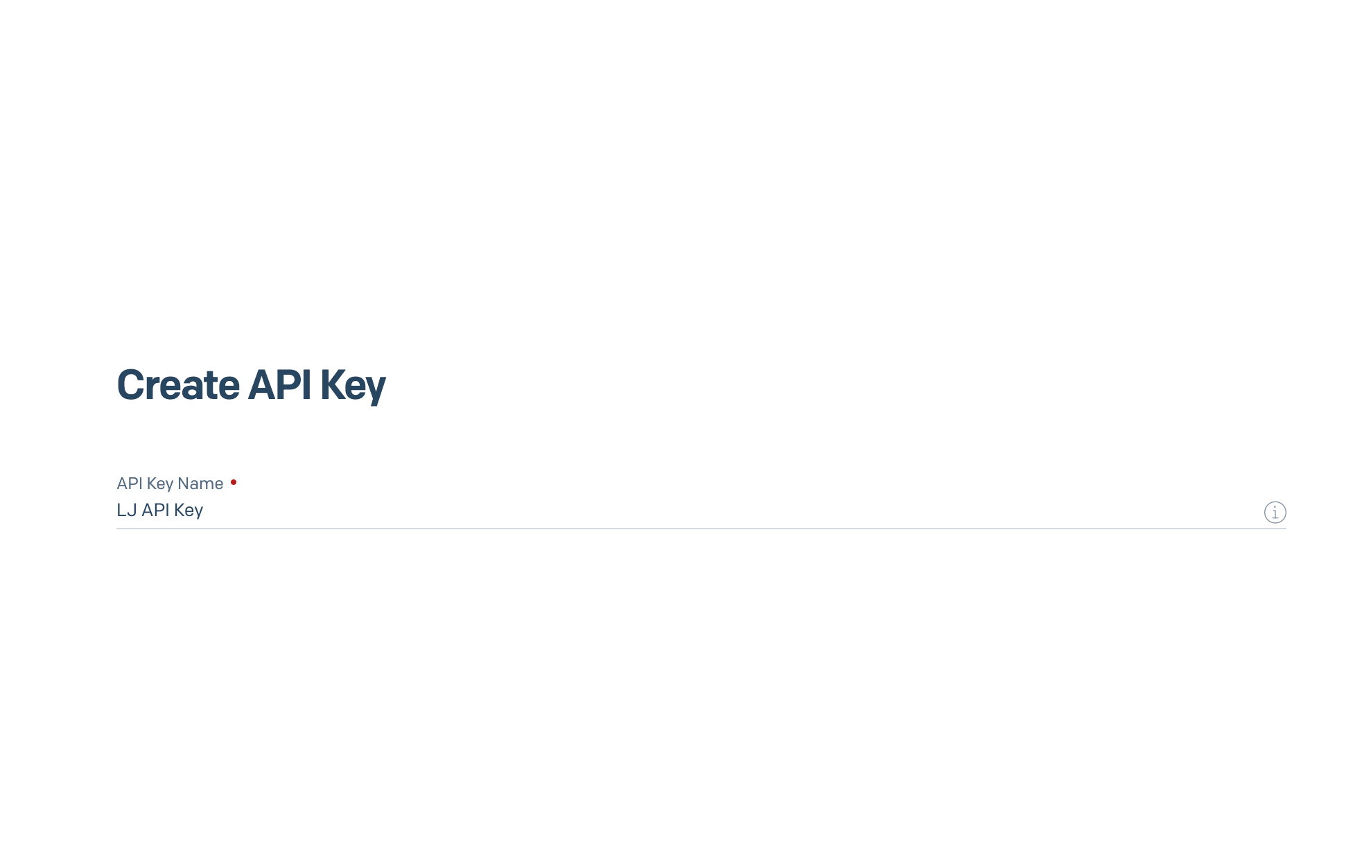 Field for naming the API key